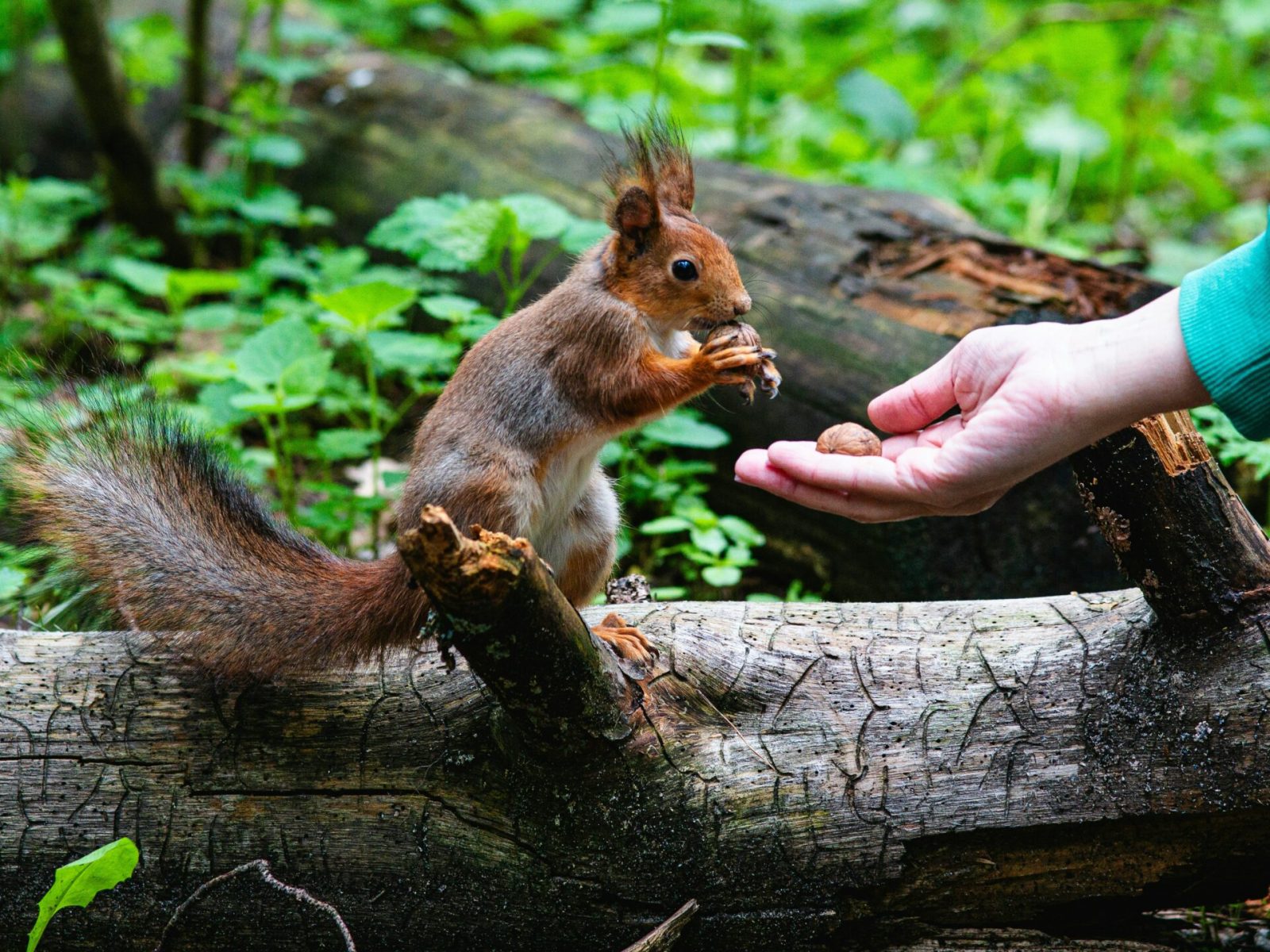 Partage_richesse_valeur